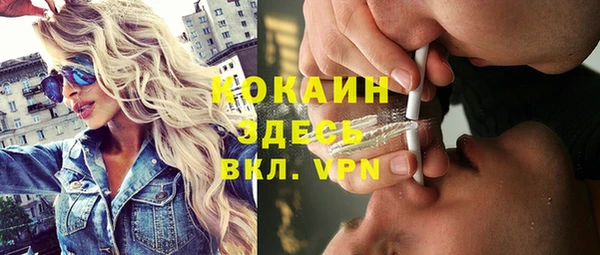 ALPHA PVP Новозыбков