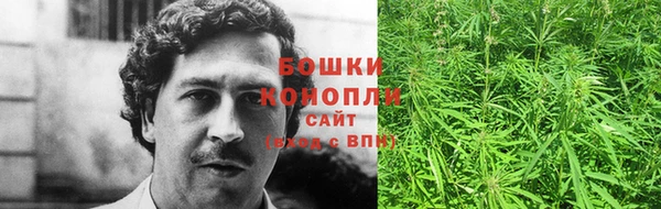 дурь Новодвинск