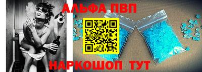 спиды Гай