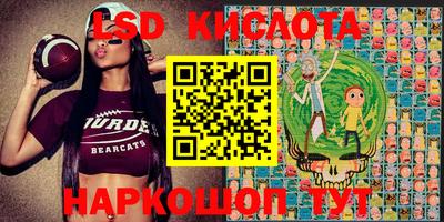 спиды Гай