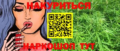 спиды Гай