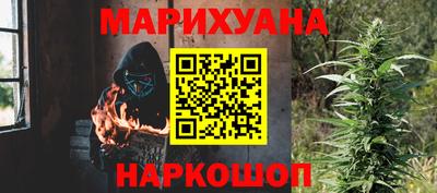 спиды Гай