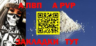спиды Гай