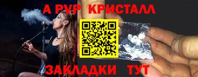 спиды Гай