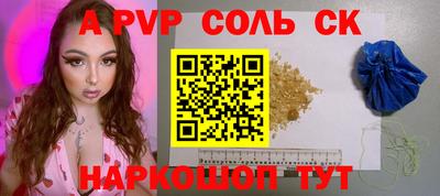спиды Гай
