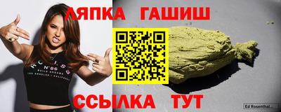 спиды Гай
