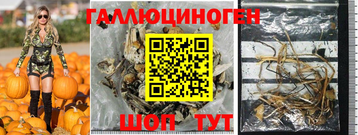 Галлюциногенные грибы MAGIC MUSHROOMS Ивантеевка
