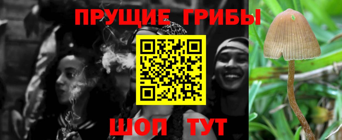 Ивантеевка  Галлюциногенные грибы MAGIC MUSHROOMS  Вход с VPN 